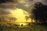Albert Bierstadt The_Buffalo_Trail oil painting reproduction